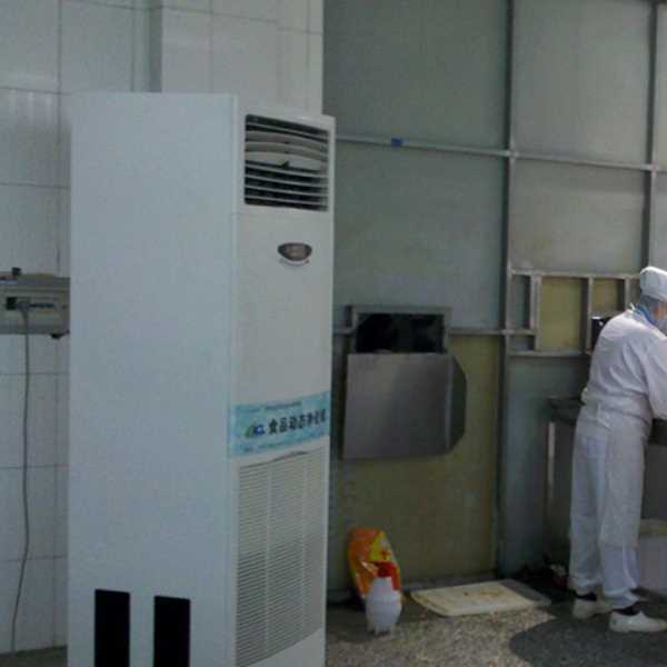 柳州食品正负离子空气杀菌器